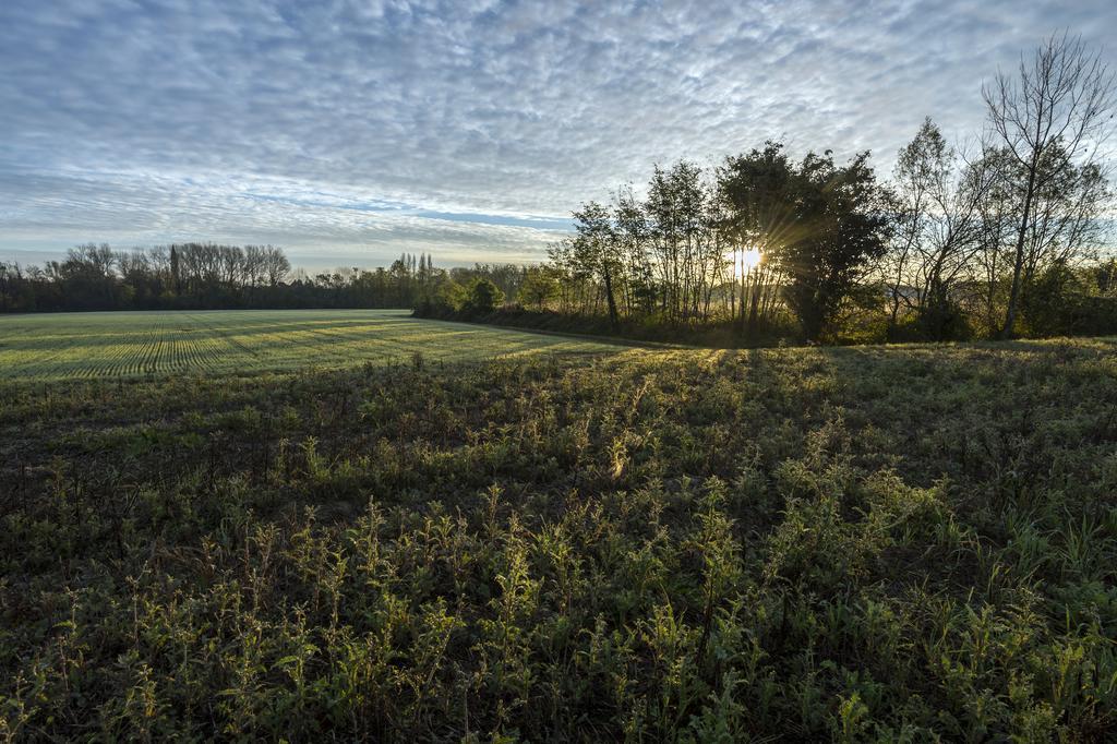 Bed And Breakfast Sile E Natura Сант-Элена-ди-Силея Экстерьер фото